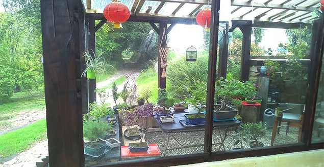 Serre à bonzaï en plexi transparent